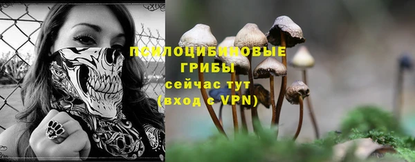 синтетический гашиш Михайлов