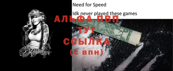 эйфоретик Михайловск