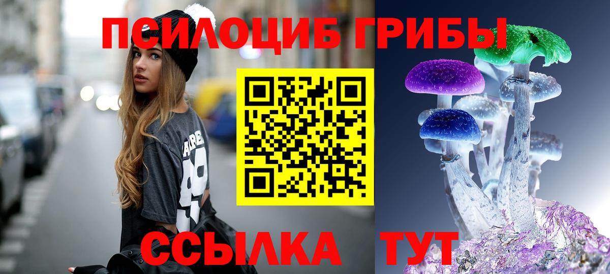 Рассказово  Псилоцибиновые грибы Psilocybe  Вход с VPN 