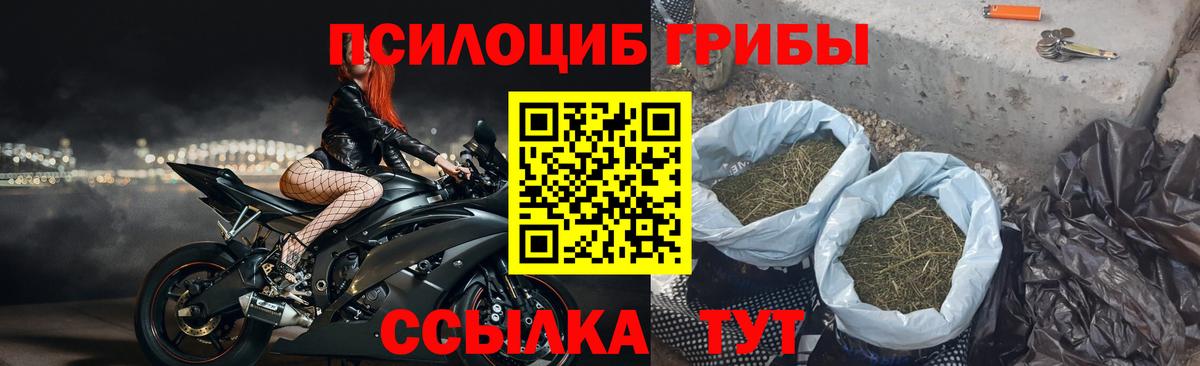 Галлюциногенные грибы мухоморы Рассказово